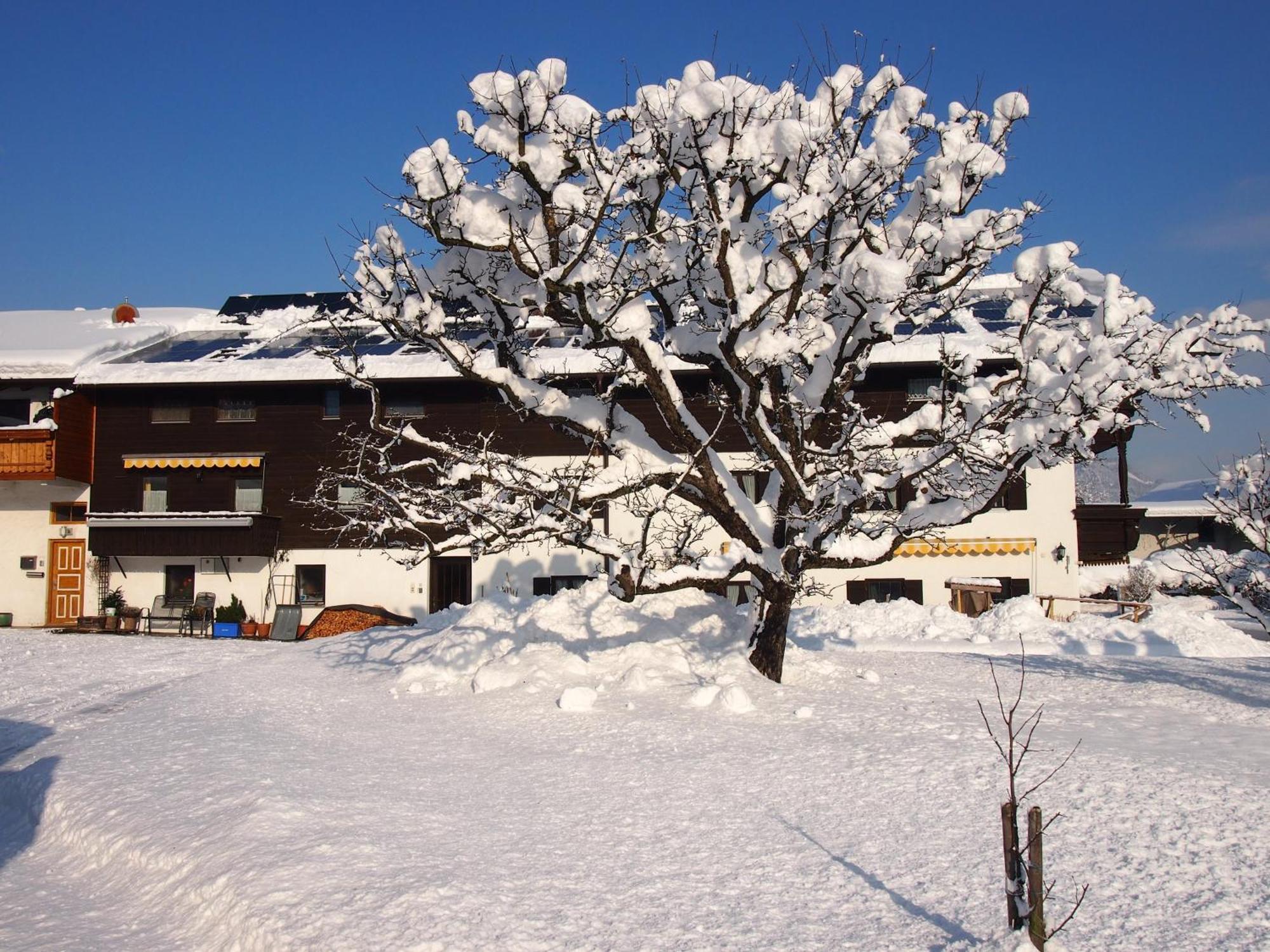 Pension Wagnerhof Обераудорф Екстер'єр фото